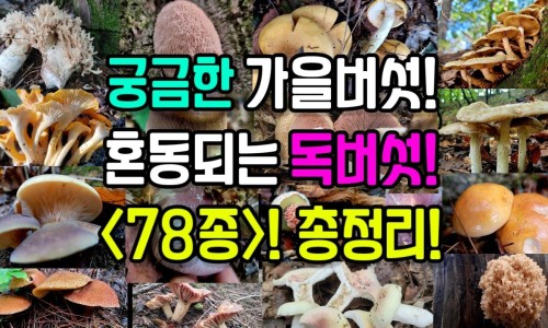 甲钴胺针剂治说明书网 - 甲钴胺针剂打几天最好,甲钴胺针剂打几天最好